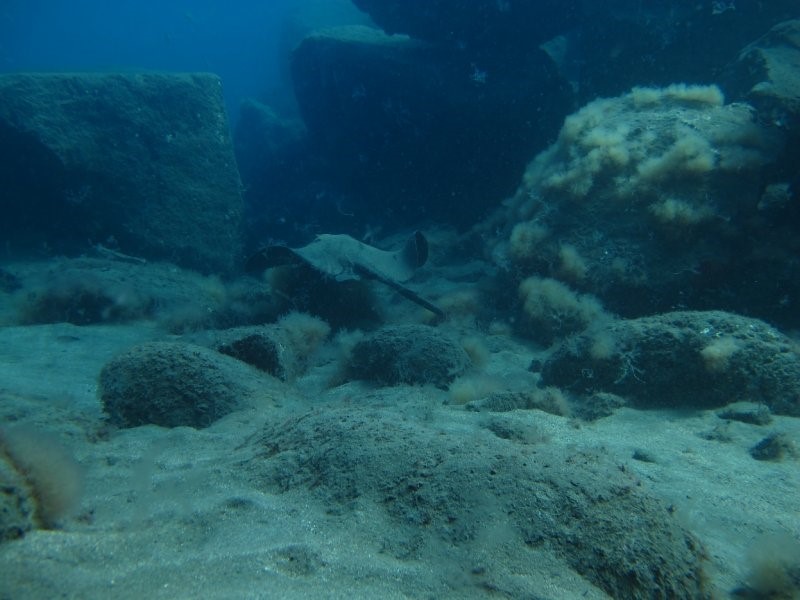 Gran Canaria Dive Sites - Mogan drift dive