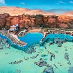 Gran Canaria Dive Sites - Sardina del Norte